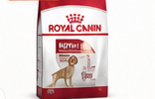 Royal Canin Medium Adult Köpek Maması 15 Kg